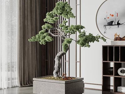 Pine Bonsai Plant In Square Pot With Traditional Screen And Round Wall Art 3d model