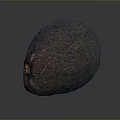 Fresh Ripe Avocado With Dark Green Textured Skin And Brown Stem