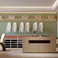 Modern Walk In Closet Interior With Hanging Clothes Drawer Cabinets And Decorative Plant
