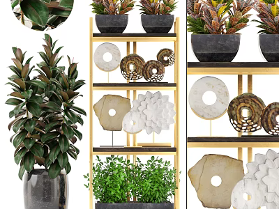 Bonsai Potted Plants Arranged On Golden Shelves With Green Foliage And Decorative Ornaments 3d model
