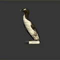 Detailed Flying Animal Specimen With Black And White Feathers On Square Base