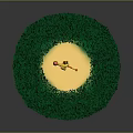 Green Circular Grass Lawn With Well Trimmed Surface And Central Light Colored Area
