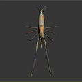 Detailed 3D Rendered Shrimp With Long Antennae And Blue Claws In High Definition Close Up
