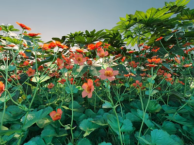 Vibrant Red Flowering Shrubs with Lush Green Leaves in Garden Landscape 3d model