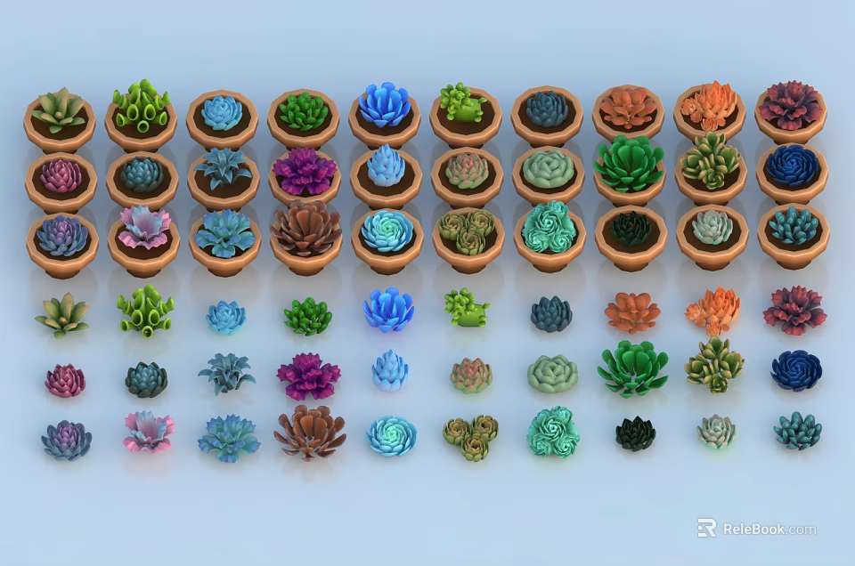 Various Colorful Succulent Plants in Different Pots Arranged on Light Background 3d model 