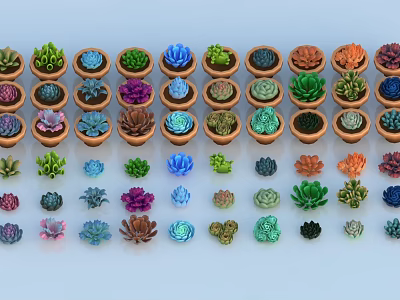 Various Colorful Succulent Plants in Different Pots Arranged on Light Background 3d model