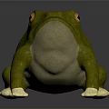 3D Rendered Reptile With Green Body Orange Eyes And White Claws On Dark Background