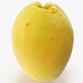 Fresh Ripe Yellow Apricots Whole and Halved Displaying Natural Spots on White Background