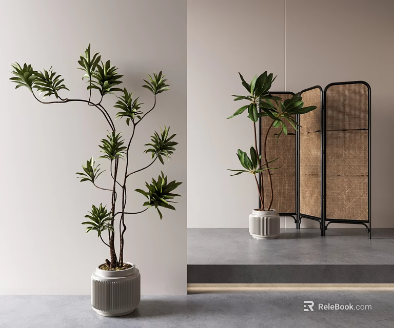 Minimalist Modern Decorative Ornament Set With Tall Leafy Plants And Wicker Room Divider 3d model 
