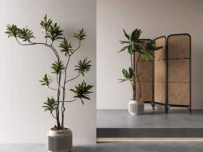 Minimalist Modern Decorative Ornament Set With Tall Leafy Plants And Wicker Room Divider 3d model