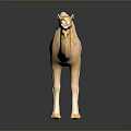 Detailed Light Brown Spotted Camel Figurine Standing On Dark Shiny Background 3d model