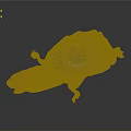 Alligator Snapping Turtle With Dark Textured Shell And Brown Head On Gray Background