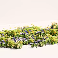 Vibrant Outdoor Flowers with Purple Blooms Yellow Petals and Green Leaves Growing Lushly in Garden