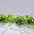 Decorative Lush Green Mixed Plants Floral Arrangement Neatly Arranged On Gray Floor Tiles