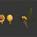 Fresh Loquat Fruits Sliced Open With Branch And Green Leaves