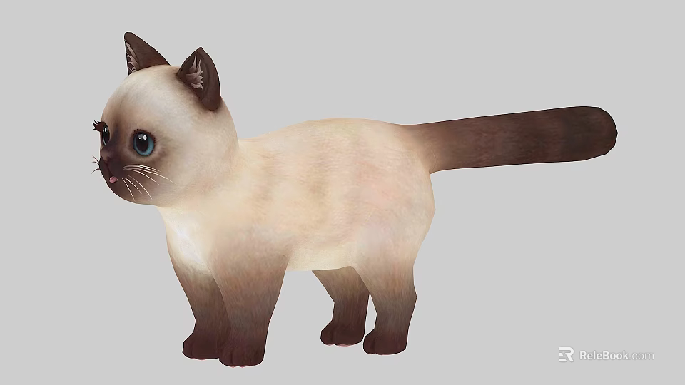 Siamese Cat with Blue Eyes Light Body Dark Ears Tail Legs Standing on Gray Background 3d model 