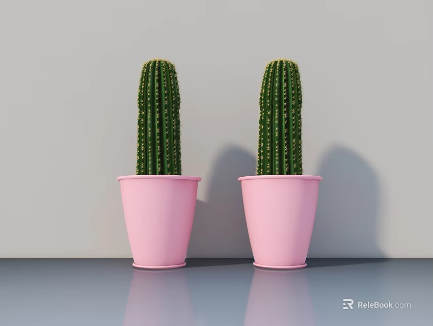 Two Green Potted Cacti in Pink Pots on Gray Tabletop Against Gray Wall 3d model 