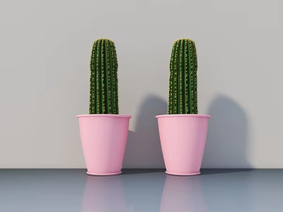 Two Green Potted Cacti in Pink Pots on Gray Tabletop Against Gray Wall 3d model