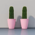 Two Green Potted Cacti in Pink Pots on Gray Tabletop Against Gray Wall