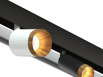 Modern Track Mounted Downlights And Spotlights With White Black Bodies Wooden Texture Warm Light 3d model
