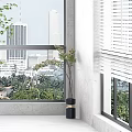 Large Green Potted Plant in Modern Interior With City View Through Window