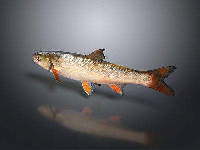 Golden Orange Fish Decorative Figurine For Home Living Room Accessories 3d model Golden Orange Fish Decorative Figurine For Home Living Room Accessories 3d model