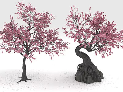 Beautiful Cherry Blossom Trees With Pink Flowers Straight And Curved Trunks 3d model