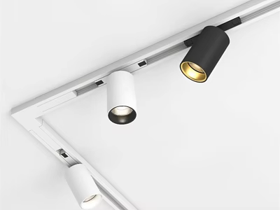 Sleek LED Track Lighting With White Downlights Black Spotlights And Warm Gold Illumination 3d model