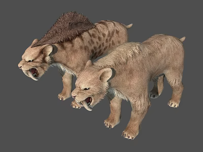 Prehistoric Stone Hunting Weapons With Sharp Edges For Ancient Animals 3d model