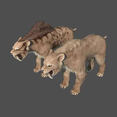 Prehistoric Stone Hunting Weapons With Sharp Edges For Ancient Animals 3d model