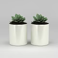 Technology Exhibition Hall Interior With Two White Flower Pots And Green Succulent Plants
