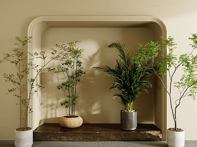 Bonsai Potted Plants on Arched Shelf with Wicker Basket Gray White Pots Natural Fresh Greenery 3d model
