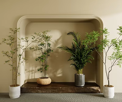 Bonsai Potted Plants on Arched Shelf with Wicker Basket Gray White Pots Natural Fresh Greenery 3d model