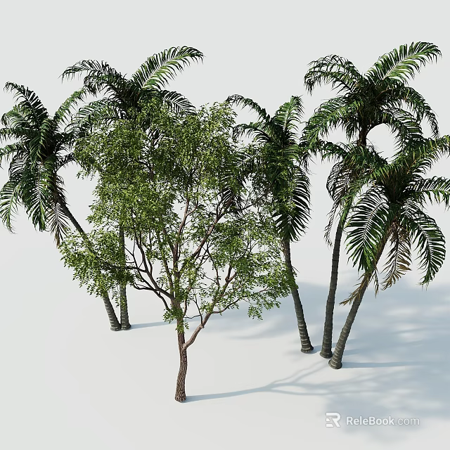 Stylish Outdoor Tree Pit Design With Palm Trees And Green Leaf Trees 3d model