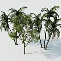 Stylish Outdoor Tree Pit Design With Palm Trees And Green Leaf Trees 3d model