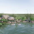 Tranquil Rock and Wood Garden Pond with Lotus Leaves and Tall Grass