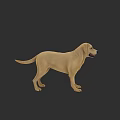Realistic 3D Model Of Yellow Labrador Dog Standing On Dark Background