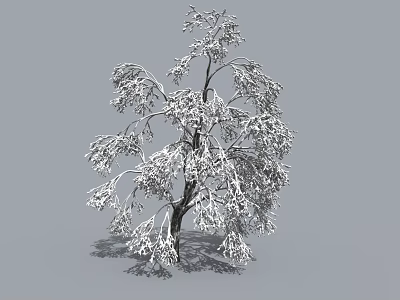 Beautiful Snow Covered Arbor Featuring Frosted Branches Against Gray Background In Winter 3d model