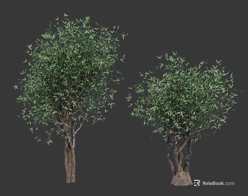 Two Arbor Trees with Lush Green Foliage and Natural Trunk Structures 3d model 