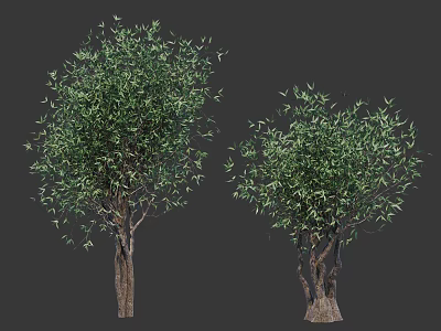 Two Arbor Trees with Lush Green Foliage and Natural Trunk Structures 3d model