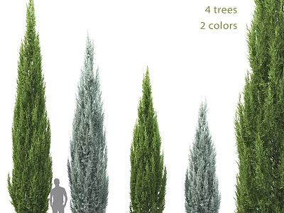 Tall Evergreen Arborvitae Trees Four Specimens With Two Color Variations For Landscaping 3d model