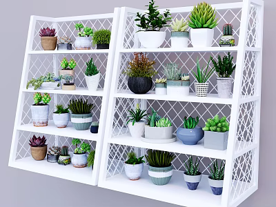 Various Potted Plants On White Grid Shelves With Different Pots Succulents And Green Plants 3d model