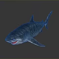 Realistic Striped Blue Shark 3D Model as Aquatic Animal with Sharp Teeth and Detailed Appearance