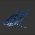 shark great white shark whale shark hammerhead shark tiger head shark man-eating shark blue shark coral red coral white coral 3d model