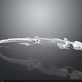 Detailed Transparent Lizard Skeleton on Gray Background with Clear Reflection
