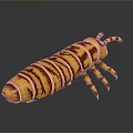 Orange and Brown Striped Caterpillar With Segmented Body and Multiple Legs on Dark Background