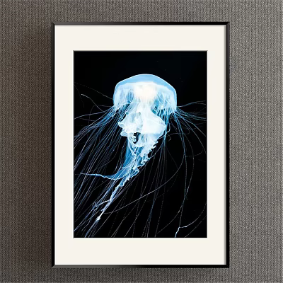 Mediterranean Animal Painting Blue Children's Room Animal Jellyfish Decorative Painting 3d model