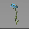Single Blue Flower Plant With Green Stem And Leaves On Dark Background