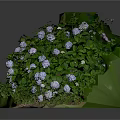Small Landscape Decorative Plant Display With Green Base Lush Leaves And White Small Flowers
