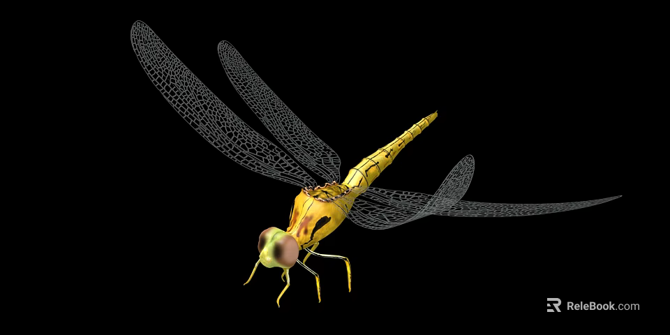 Yellow Dragonfly With Net Like Wings And Slender Body Against Black Background 3d model 